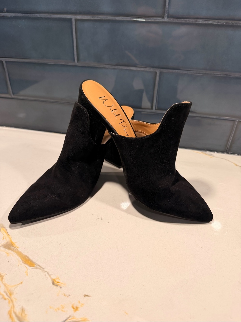 Wild Pair Black Suede Pointed Toe Mule